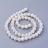 Shell Beads Strands SSHEL-E571-38-6mm-2