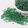 Round 8/0 Glass Seed Beads X-SEED-A006-3mm-107-1