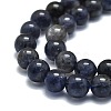 Natural Iolite Beads Strands G-E576-05A-3