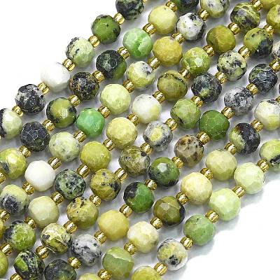 Natural Serpentine Beads Strands G-K389-E58-01-1