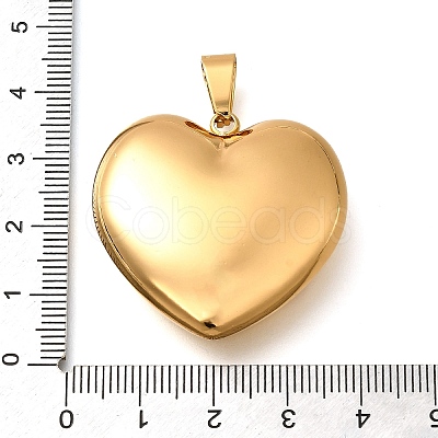 304 Stainless Steel Pendants STAS-H200-01G-15-1