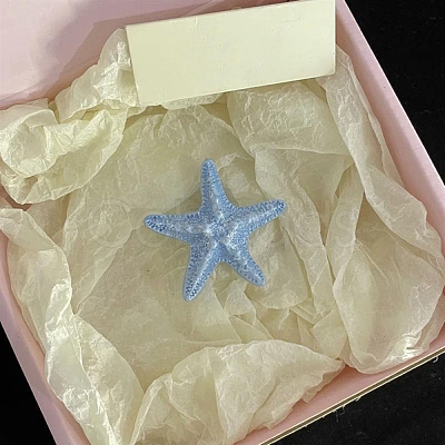 Starfish Resin Alligator Hair Clips LS-PHAR-Z008-02A-1