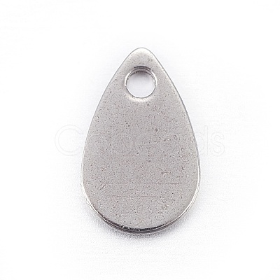 Non-Tarnish Stainless Steel Charms X-STAS-L211-02A-P-1