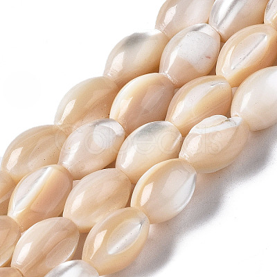 Natural Trochid Shell/Trochus Shell Beads Strands X-SSHEL-S266-021B-02-1