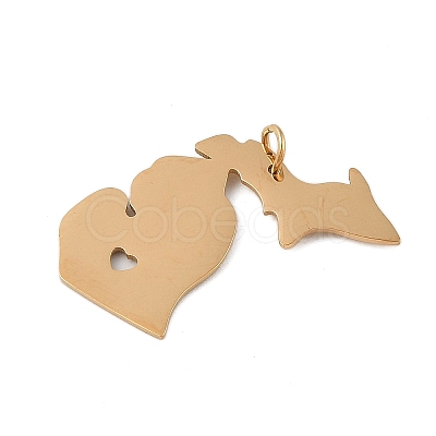 Ion Plating(IP) 304 Stainless Steel Pendants STAS-T038-84G-1