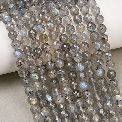 Natural Labradorite Beads Strands G-O176-04B-1