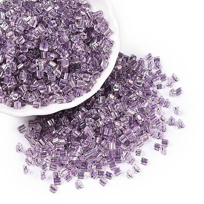 6/0 Transparent Inside Colours Glass Seed Beads SEED-N006-003L-1