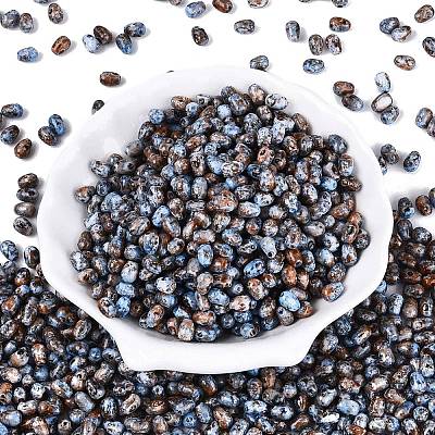 Picasso Glass Seed Beads SEED-N012-10N-1