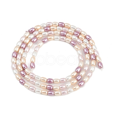 Electroplated Shell Pearl Beads Strands BSHE-H113-06A-01-1