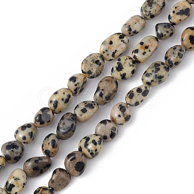 Natural Dalmatian Jasper Beads Strands G-B039-03A-1