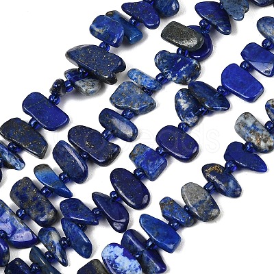 Natural Lapis Lazuli Beads Strands G-L657-E01-01-1