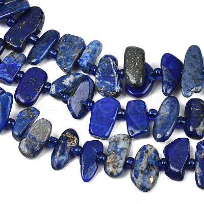 Natural Lapis Lazuli Beads Strands G-L657-E01-01-1