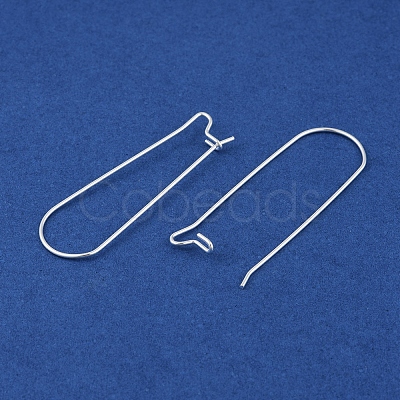 304 Stainless Steel Hoop Earring Findings LS-STAS-P223-01S-05-1