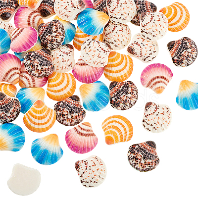 50Pcs Opaque Resin Decoden Cabochons CRES-PH0001-20-1