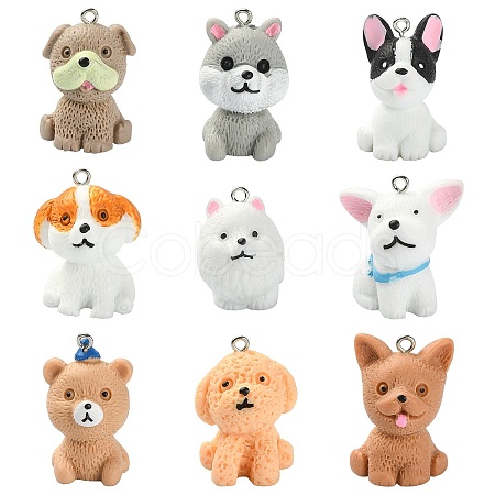 18Pcs 9 Styles Opaque Resin Pendants RESI-CJ0003-42-1