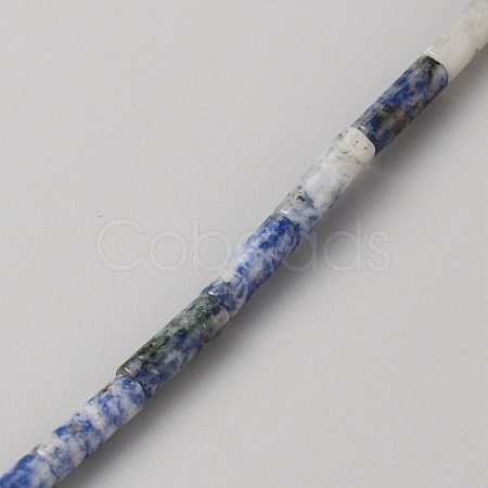 Natural Blue Spot Jasper Beads Strands G-WH0035-01D-1