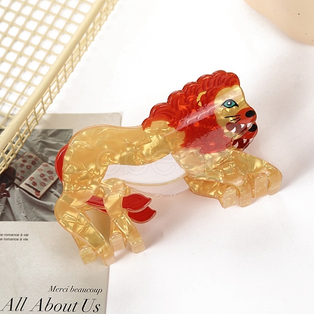 Cellulose Acetate Claw Hair Clips PW-WGB671F-01-1
