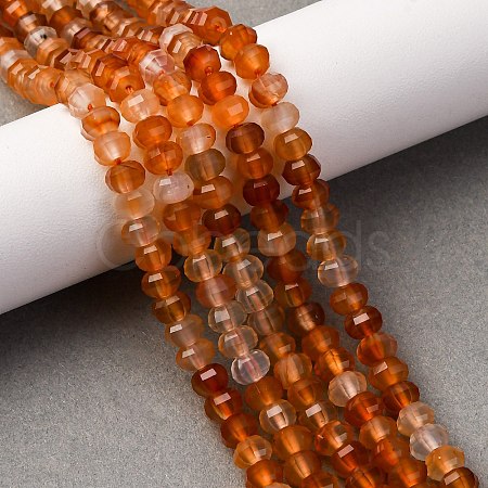 Natural Carnelian Beads Strands G-P587-D06-01-1