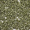 11/0 Grade A Baking Paint Glass Seed Beads SEED-S030-1037-2