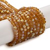 Imitation Jade Glass Beads Strands EGLA-A034-T2mm-MB04-1