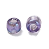Transparent Colours Rainbow Glass Seed Beads SEED-H004-01E-2