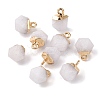 Natural White Jade Charms G-S359-015I-3