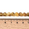 Natural Amber Beads Strands G-K376-H01-01-5