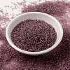 MIYUKI Round Rocailles Beads SEED-JP0010-RR0142-2
