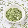 MIYUKI Half TILA Beads X-SEED-J020-HTL439-3