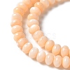 Natural Freshwater Shell Beads Strands SSHEL-C013-07H-3