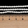 Electroplated Shell Pearl Beads Strands BSHE-H113-06A-06-4