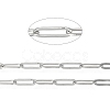 Tarnish Resistant 304 Stainless Steel Paperclip Chains CHS-F010-01F-P-3