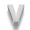 Alloy Slide Charms PALLOY-WH0069-02V-P-1