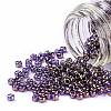 TOHO Round Seed Beads SEED-JPTR11-0325-2