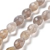 Natural Grey Agate Beads Strands G-P520-B08-01-1
