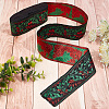 Ethnic Style Polyester Ribbon OCOR-GF0002-04D-6