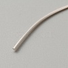 999 Fine Silver Wire STER-WH0008-14B-2