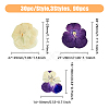 120pcs 3 Style Dried Pansy Flower DIY-HY0001-62-2