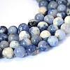 Natural Sodalite Round Bead Strands X-G-E334-10mm-08-1