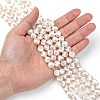 Tibetan Style Turtle Back Pattern dZi Beads Strands G-G036-10mm-6-5