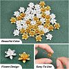 48Pcs 2 Colors 3D Brass Bead Caps KK-FH0002-42-3