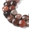 Natural Petrified Wood Beads Strands G-K332-B02-3