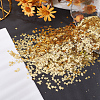 100G Ornament Accessories KY-HY0001-17B-4