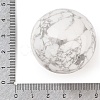 Natural Howlite Sphere Beads G-I367-07F-2