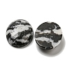 Natural Zebra Jasper Cabochons G-C115-01B-39-2