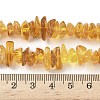Natural Amber Beads Strands G-L095-D01-02-5