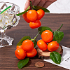3Pcs 3 Styles Foam Artificial Fruit Model DJEW-CN0001-31-3