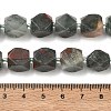 Natural African Bloodstone Beads Strands GG-CBAF8A8-A09-01-3