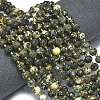 Natural African Turquoise(Jasper) Beads Strands G-K389-E71-01-2