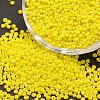 6/0 Glass Seed Beads SEED-J014-F6-42-1